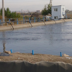 Application of Biological Ponds for Domestic Wastewater Treatment